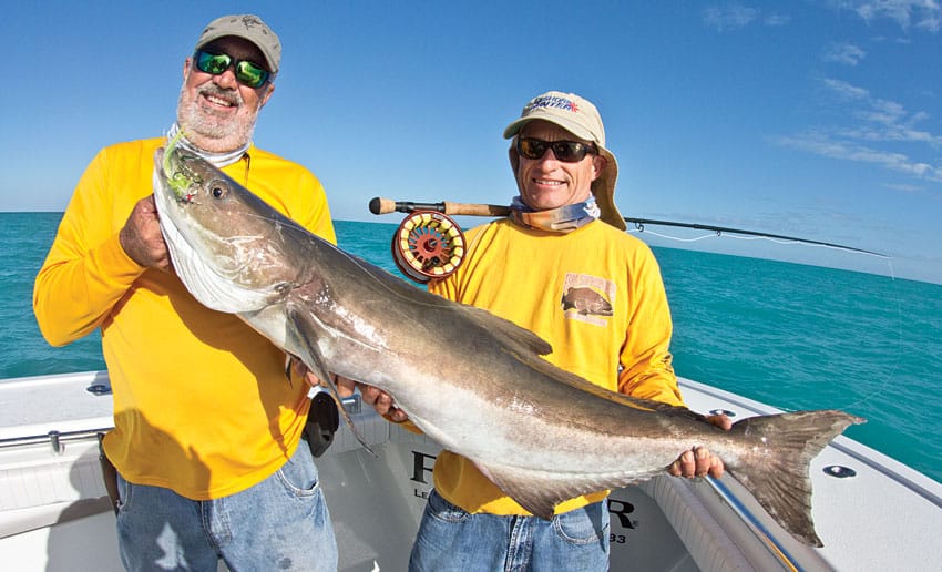 key-west-wrecks-cobia.jpg