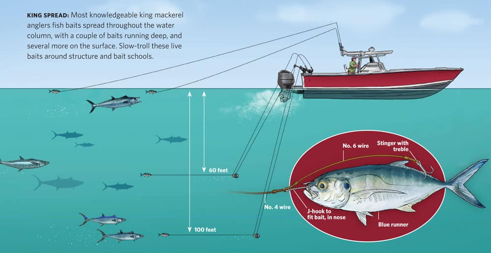 live-bait fishing for mackerel