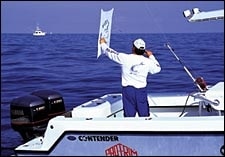 Essential Equipment & Proven Tactics for Kite Fishing - Florida