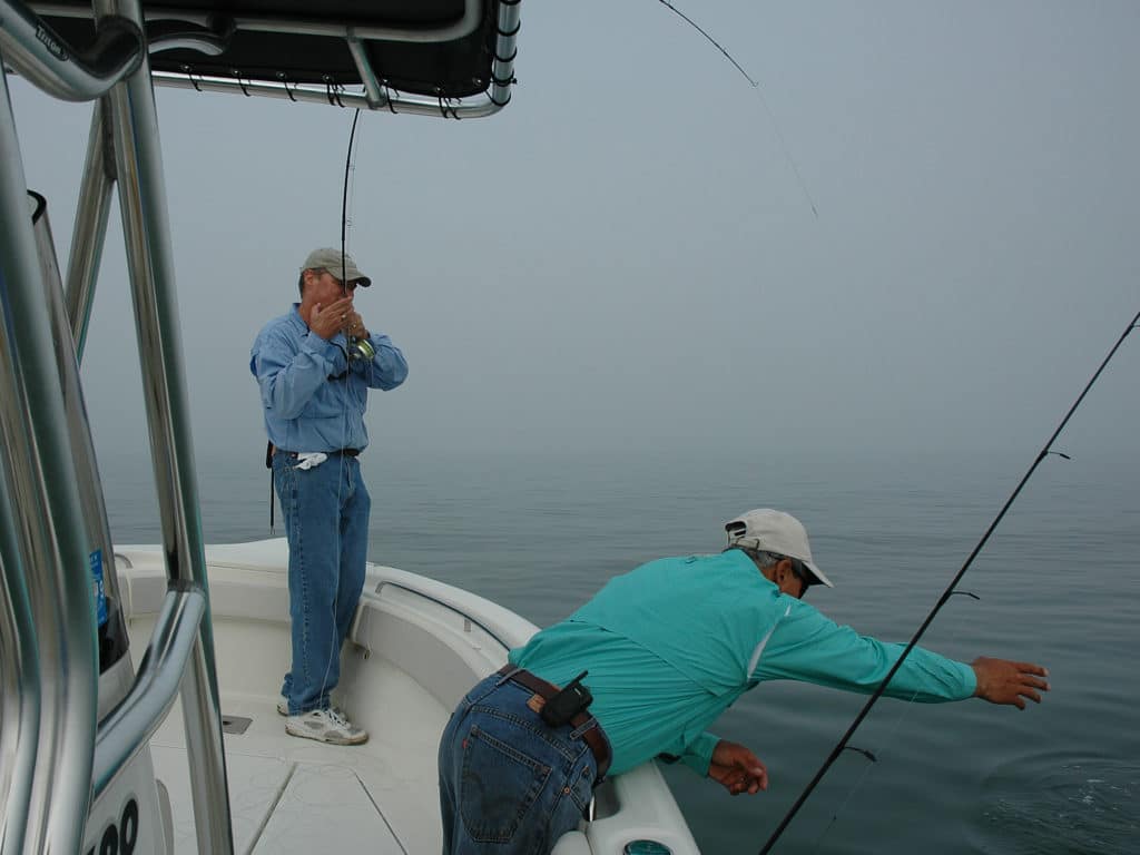 Bonito and tuna, both of which often hang well the surface, will fall for dredging tactics.