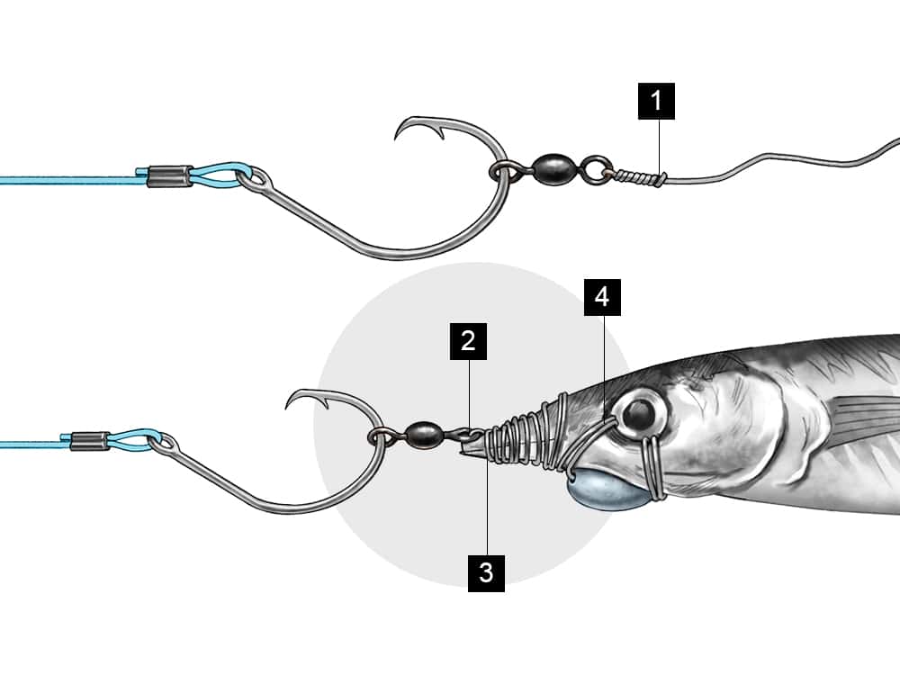 Leading Circle Hook ballyhoo rig