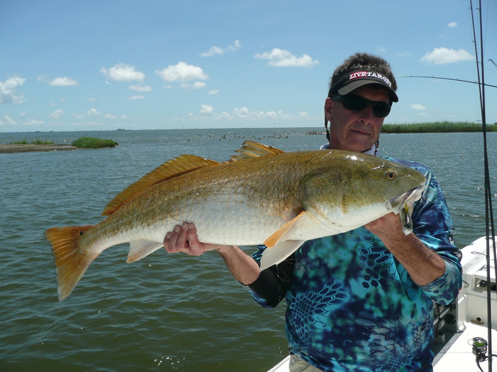 Big redfish caught on artificial