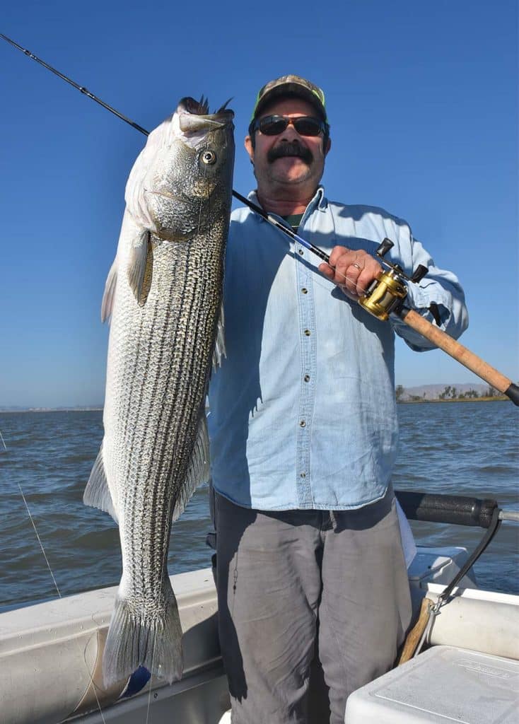 Catch Northern California Delta Stripers