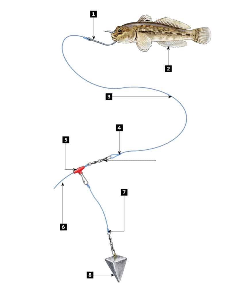 Catch Northern California Delta Stripers