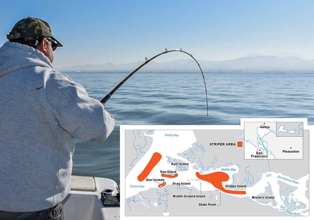 Catch Northern California Delta Stripers