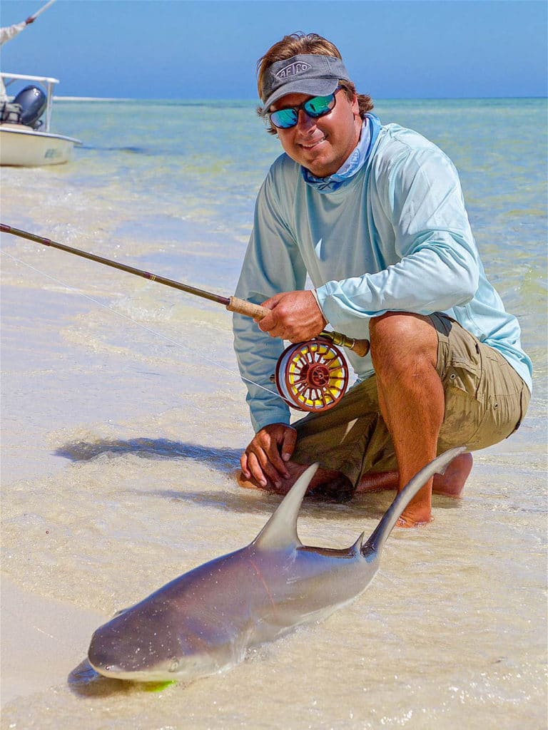 Inshore Sharks on Fly