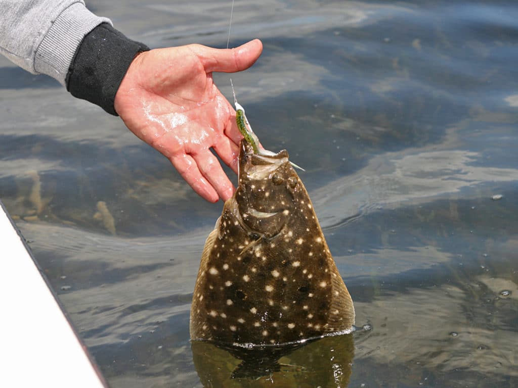 All the popular inshore species throughout the Gulf Coast seek potholes and troughs when the water drops.