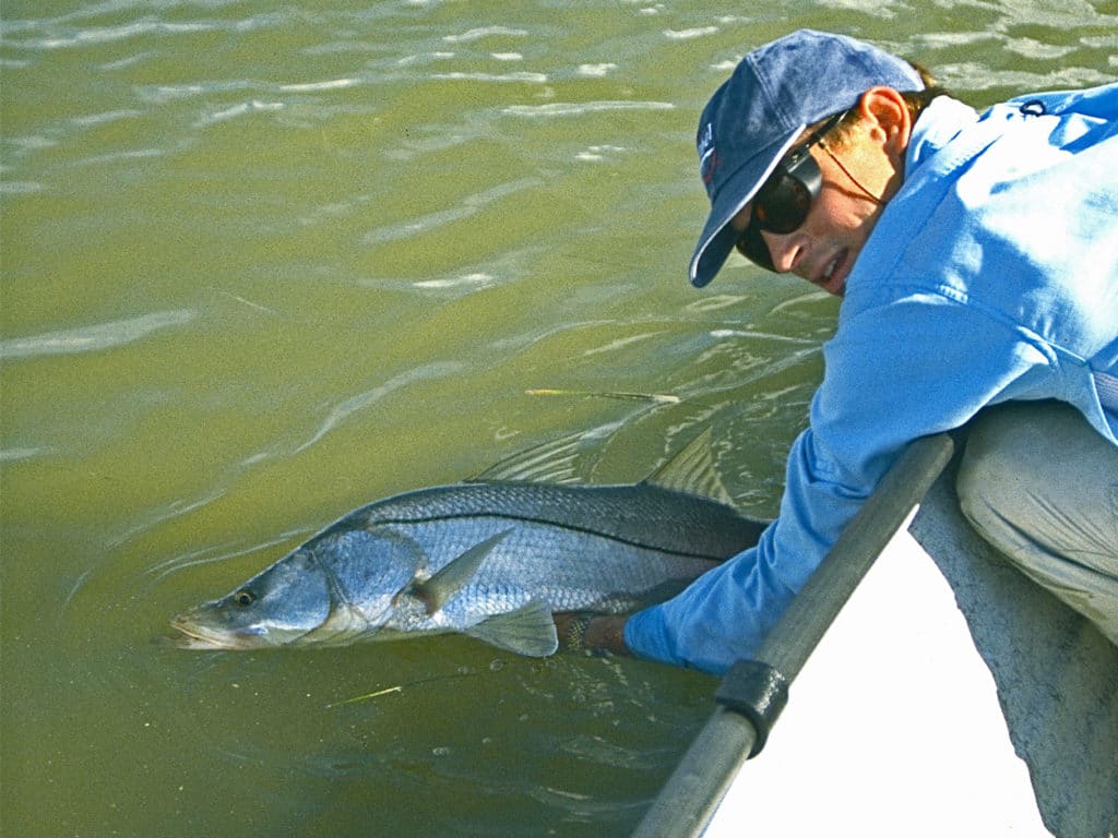 Rocks, oyster bars and other structure submerged in moving water usually hold fish.