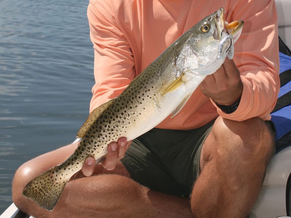 Speckled trout are a prime target when fishing channels in the middle of the flats.