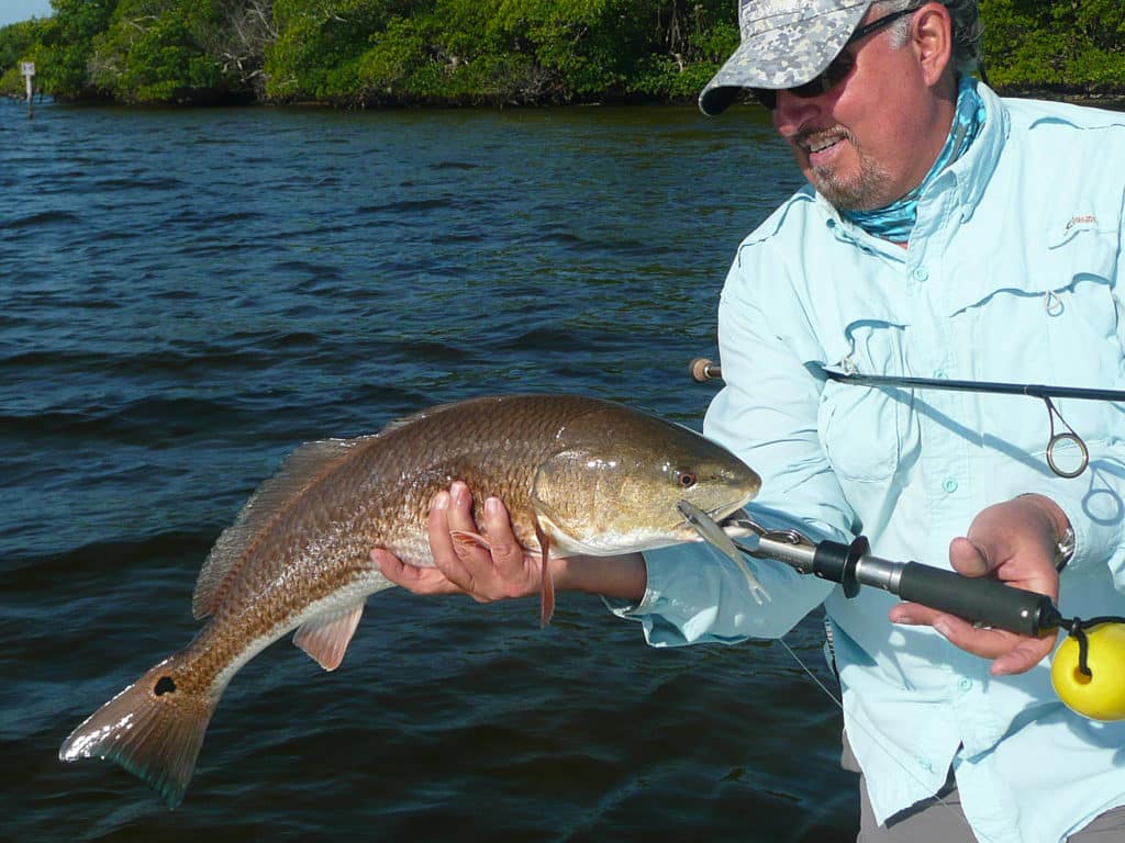 Bayous and creeks offer fish deeper, milder, moving water, along with good foraging prospects.