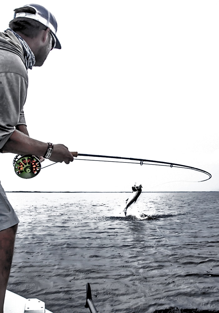 Fly Angler's Guide To Laid-up Tarpon