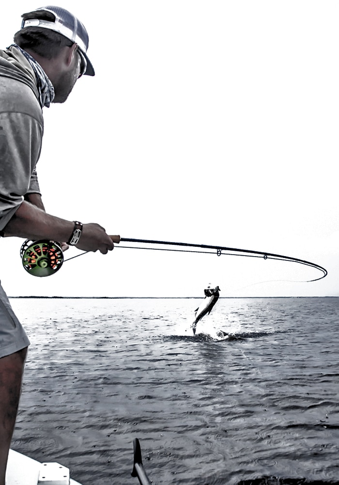 Jumping tarpon on the hook