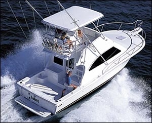 luhrs_340_1.jpg