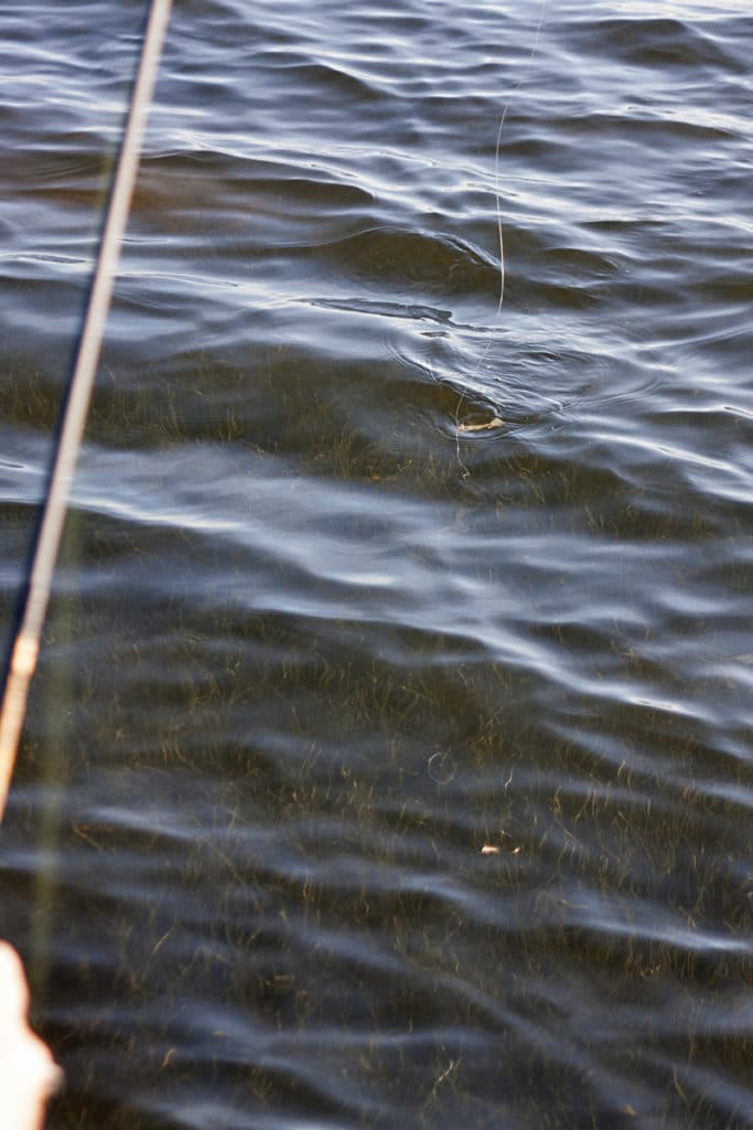 In deeper water, the guide switches to a tactic he calls minesweeping.