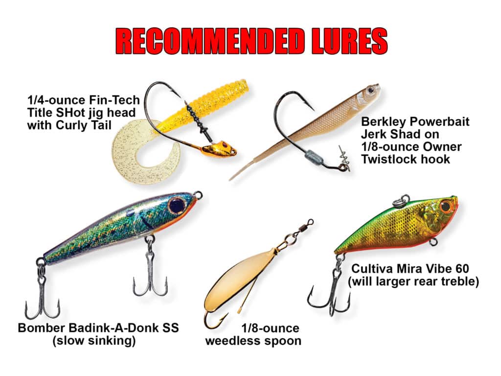 Carry a lure selection to cover different depths and conditions.