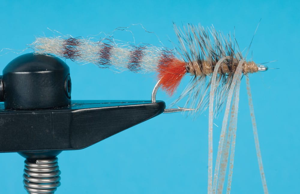 How to Tie the Mantis Shrimp Fly