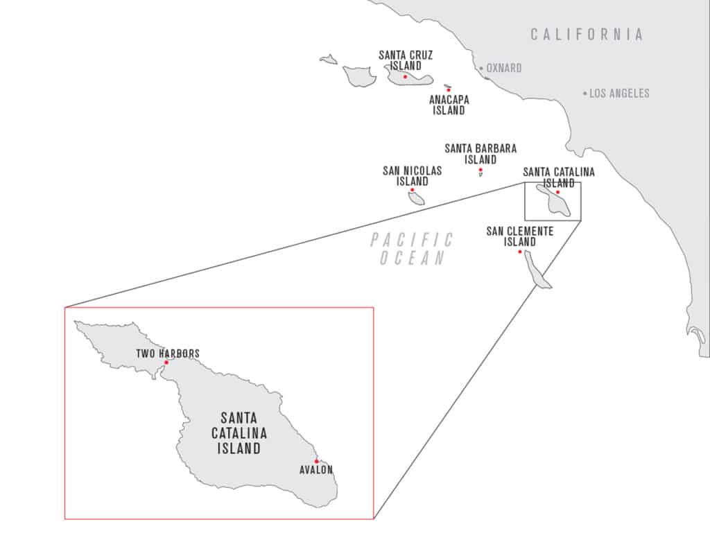 Catalina Island, one of the Channel Islands, offers easy access to yellowtail fishing