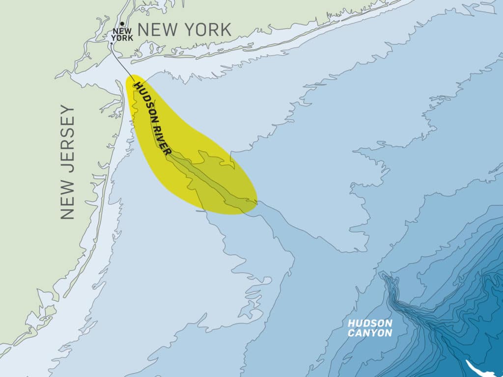 An abundance of sharks and the forage they pursue travel that ancient submarine highway scoured by the Hudson River at the end of the last ice age.