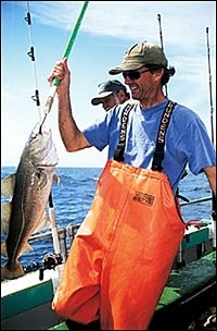 Catching cod
