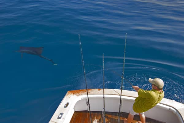 mark-hatter-sailfish-guatemala-10.jpg