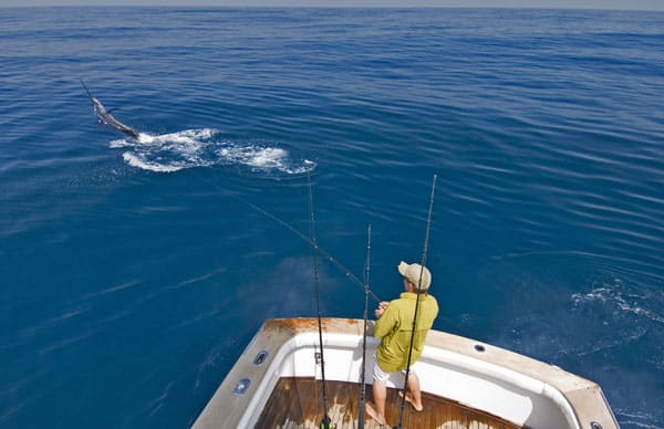 mark-hatter-sailfish-guatemala-11.jpg