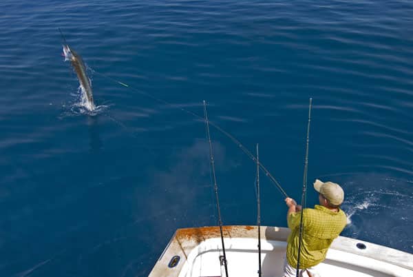 mark-hatter-sailfish-guatemala-12.jpg