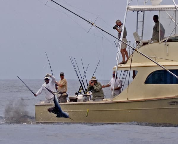 mark-hatter-sailfish-guatemala-14.jpg