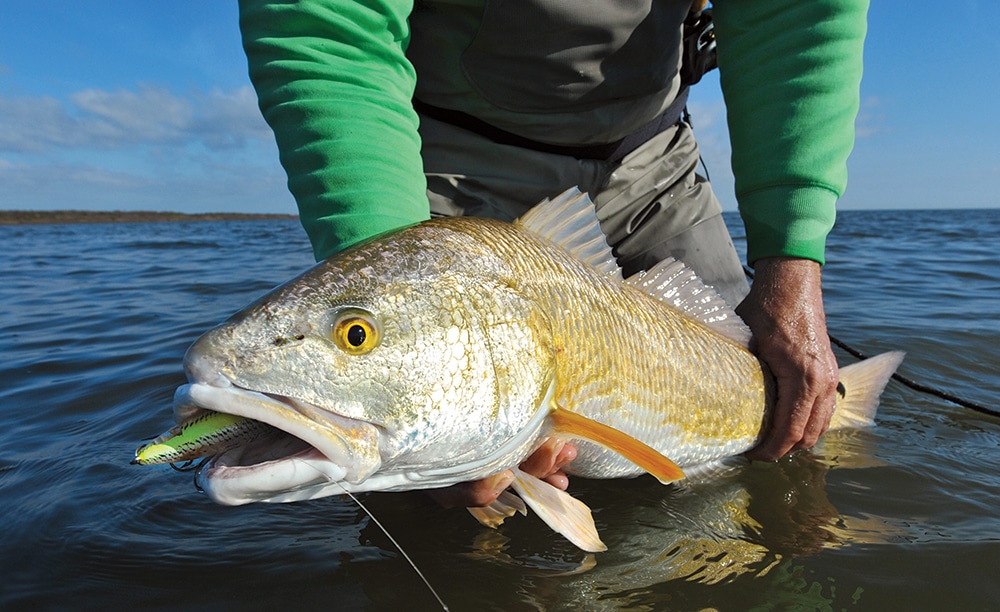 matagorda-redfish-05.jpg