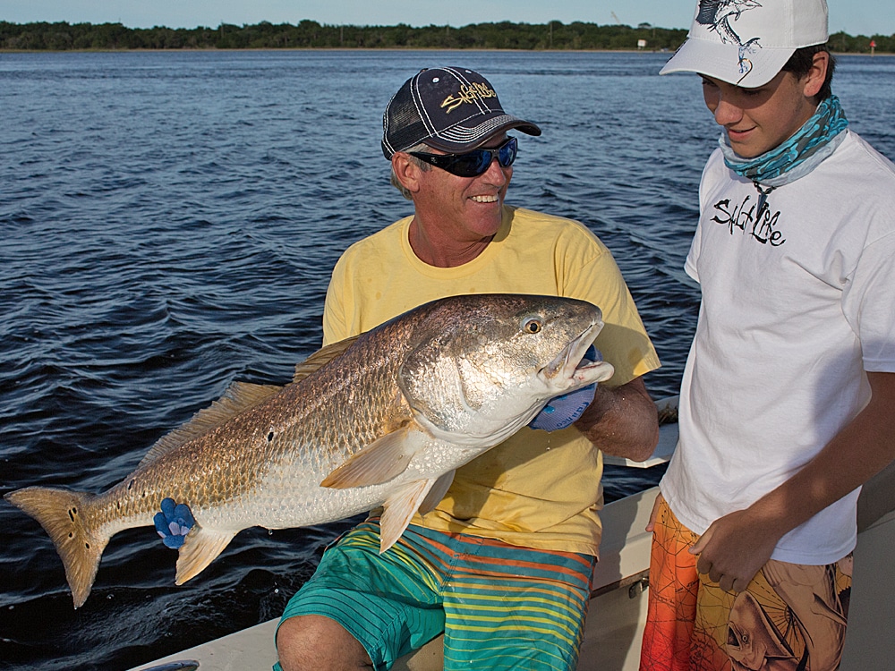 Bull redfish in Mayport, Florida
