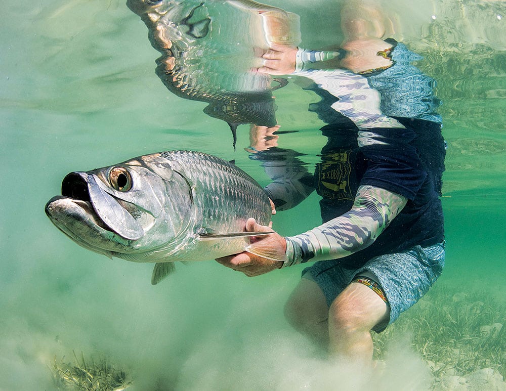 Tarpon Fishing in Mexico