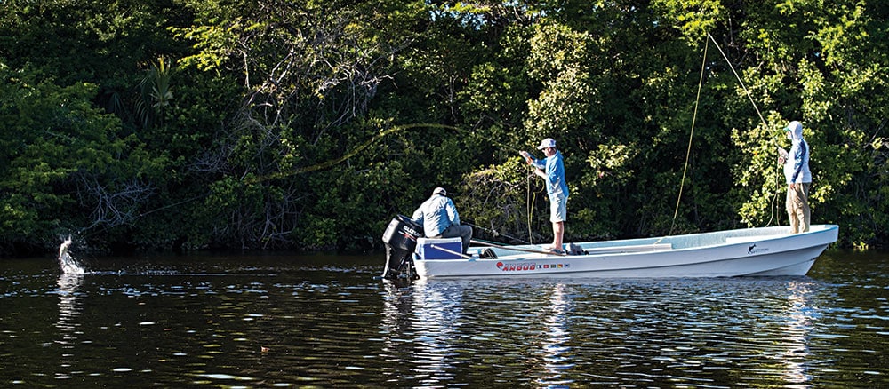 Tarpon Fishing in Mexico