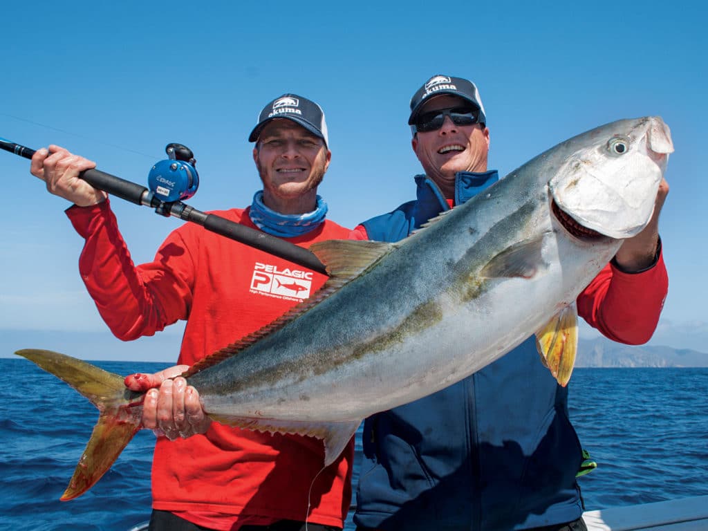 A nice California Yellow Tail catch