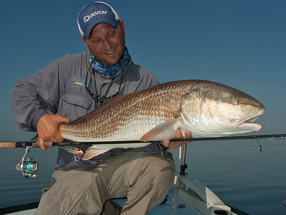 Redfish of all sizes