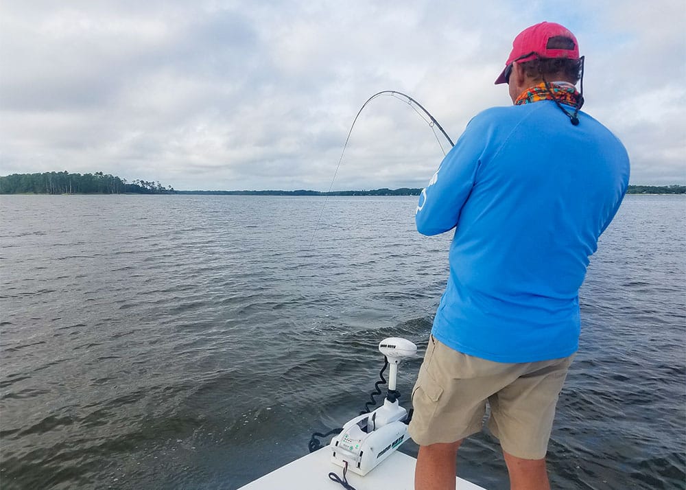 Redfish hooked up on fly rod