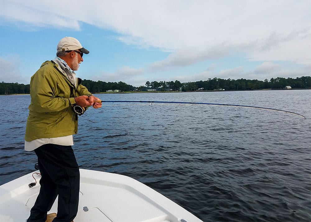 Redfish strike near boat