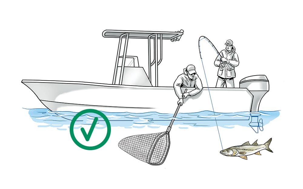 How to Net Fish