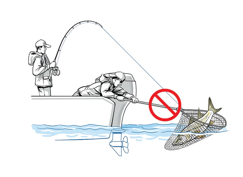 How to Net Fish