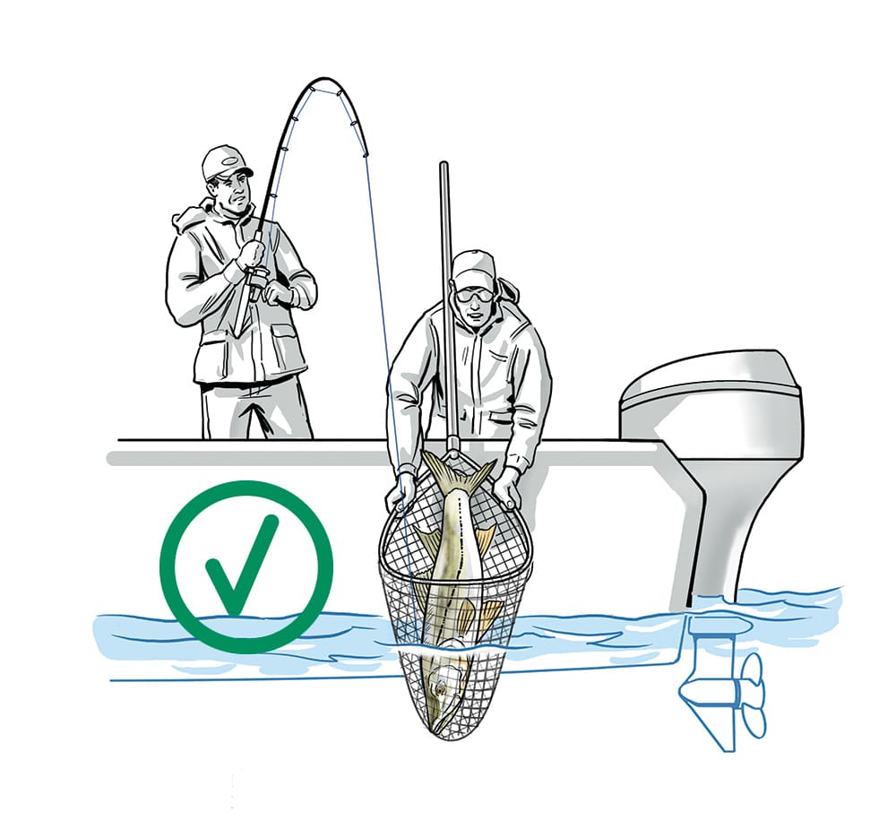 How to Net Fish