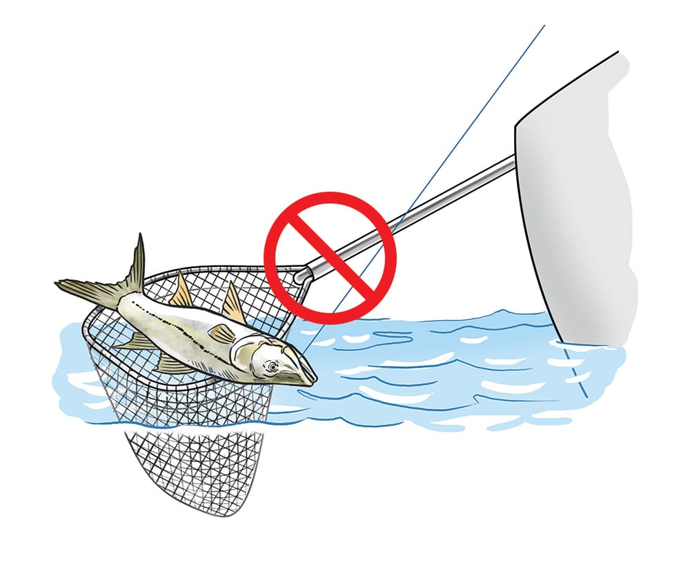 How to Net Fish