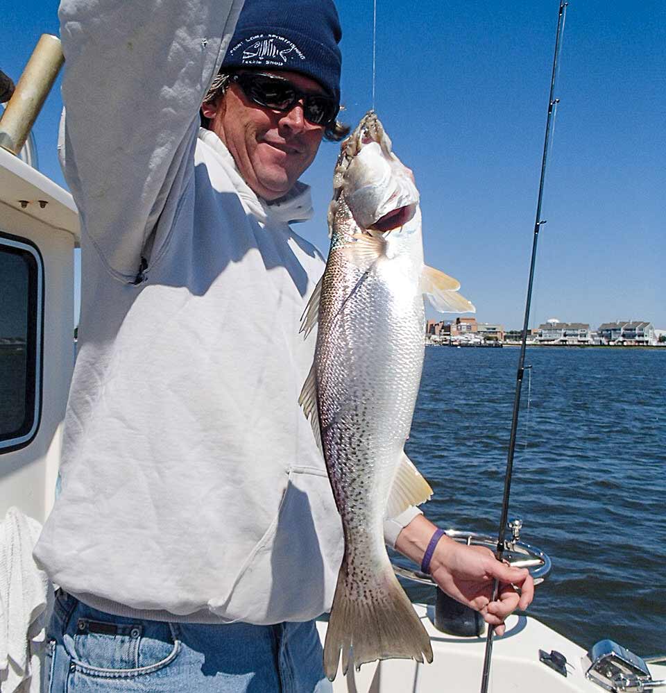 catch weakfish New Jersey using crab shed