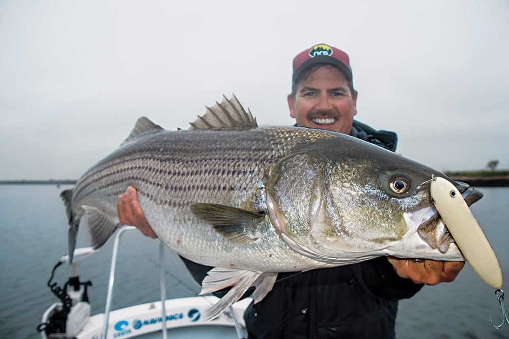topwater lures for striped bass fishing