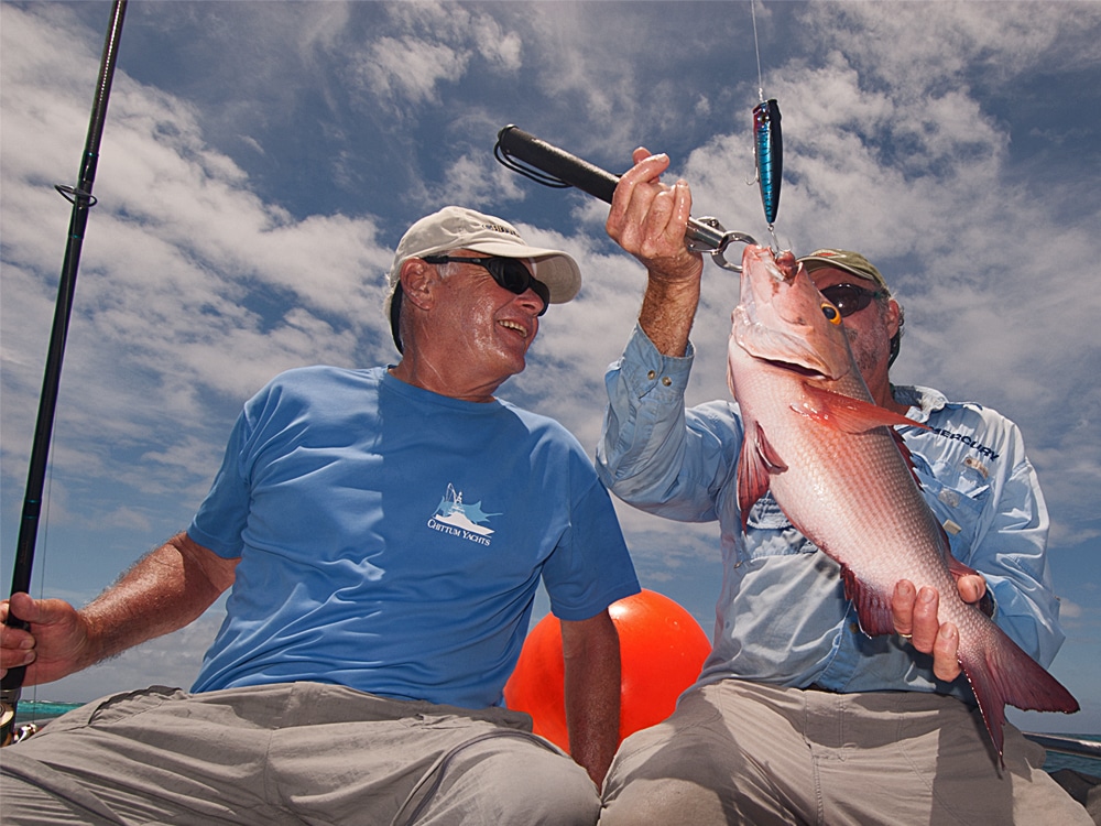 Snapper caught on topwater lure