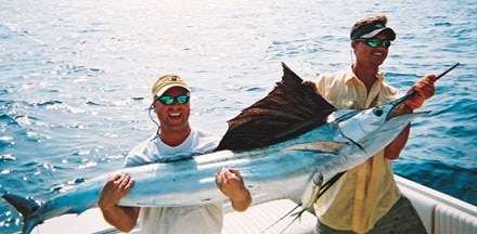 Angler Lands Big Florida Sailfish
