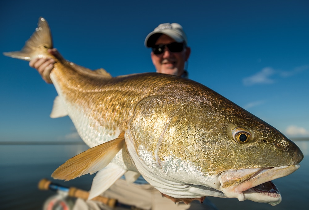 Bull Redfish Fishing in North Carolina