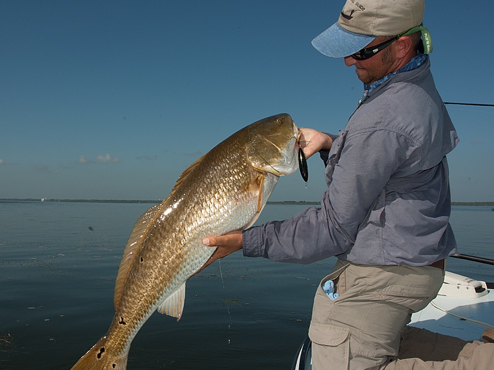 Redfish in North Carolina