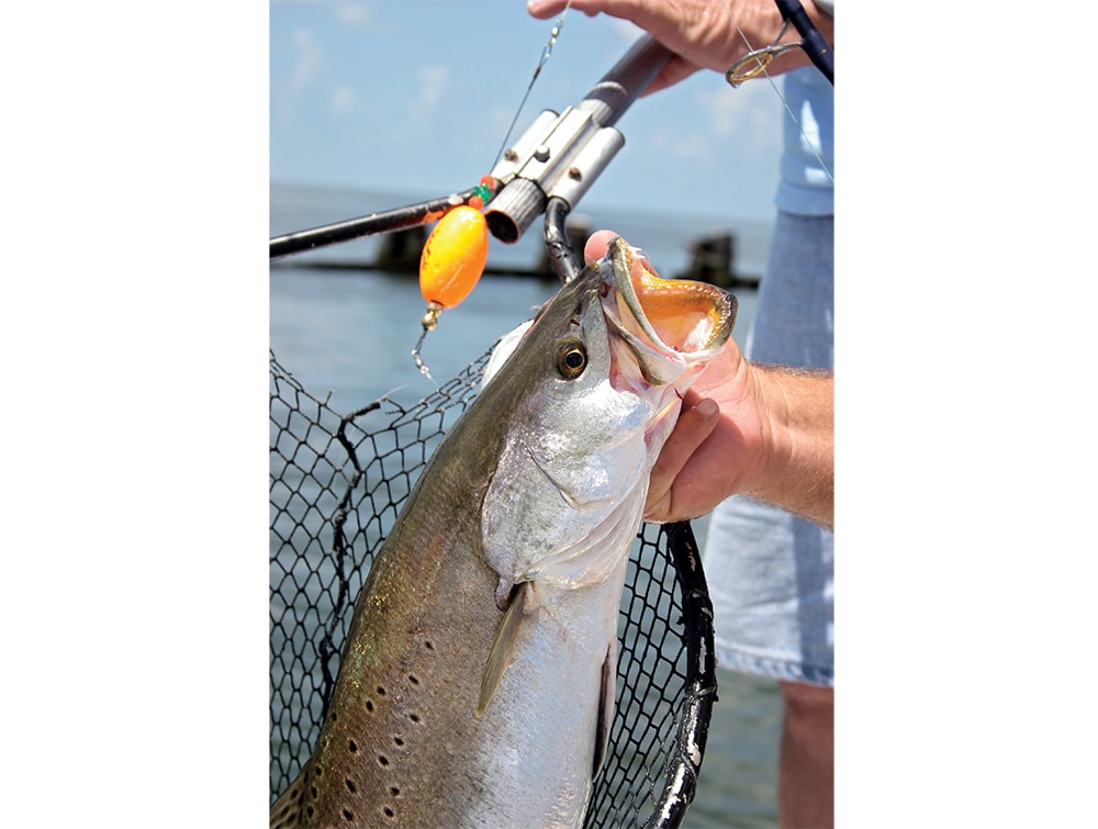 Northeast Florida Seatrout Fishing Tips