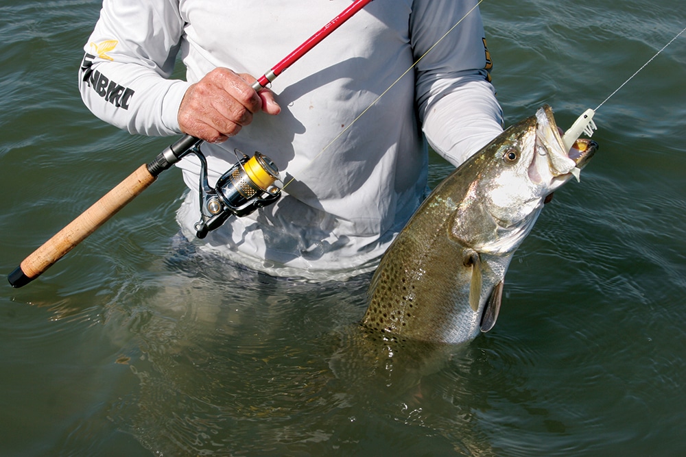 northeast-florida-seatrout-03.jpg