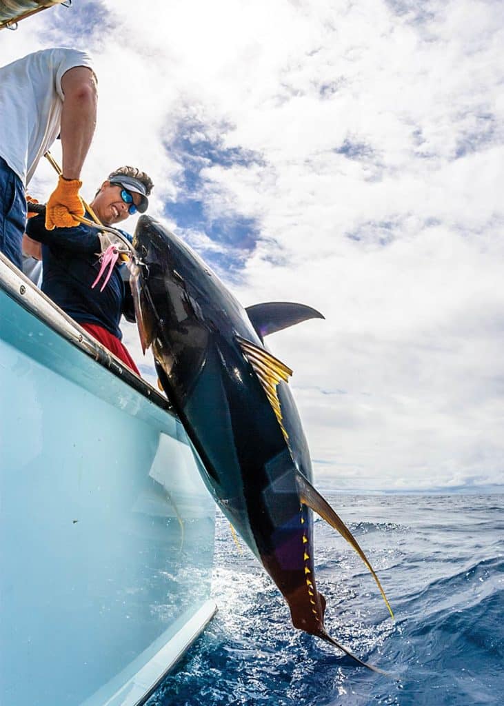 Bahamas Dolphin and Tuna