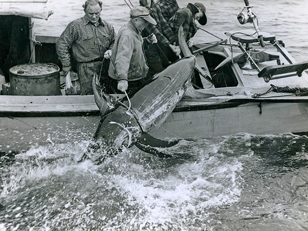 Rare Historical IGFA Fishing Photos - 15