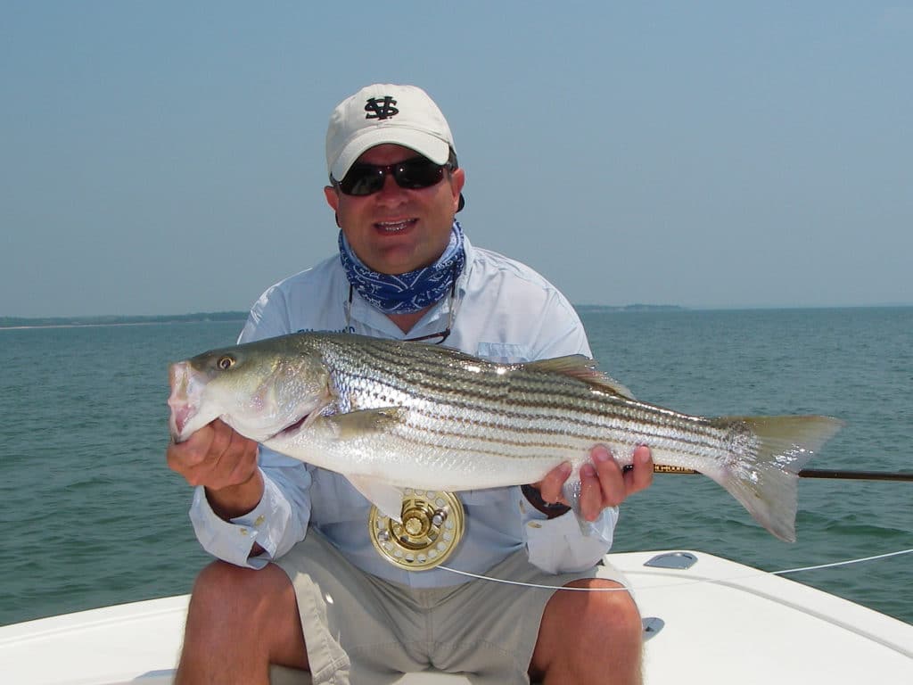 Inside and Out: Fire Island Stripers - The Fisherman